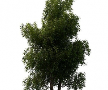 Modern Tree-ID:433510077