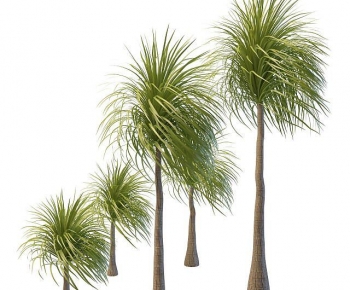 Modern Tree-ID:337696083