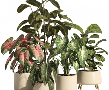 Modern Ground Green Plant Potted Plants-ID:480398894