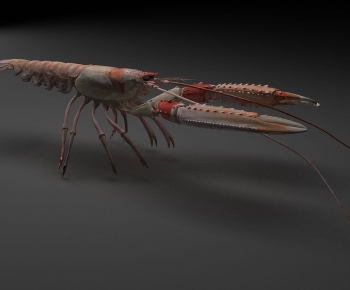 Modern Aquatic Animals-ID:915592912