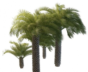 Modern Tree-ID:738594063