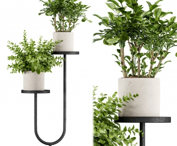 Modern Potted Green Plant-ID:139143941