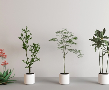 Modern Ground Green Plant Potted Plants-ID:425441033