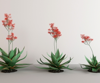 Modern Flowers And Grass-ID:278220893