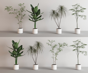 现代落地绿植盆栽组合-ID:545306921