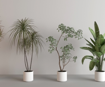 Modern Ground Green Plant Potted Plants-ID:730284936