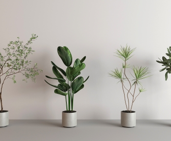 Modern Ground Green Plant Potted Plants-ID:317770965