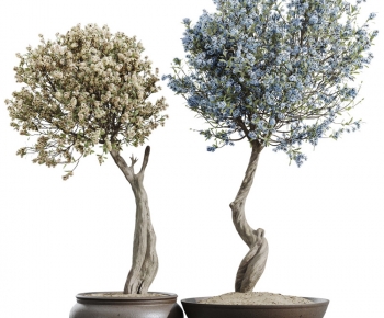 Modern Ground Green Plant Potted Plants-ID:782316929