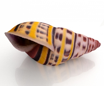 Modern Aquatic Animals-ID:230429288