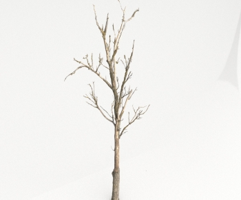 Modern Tree-ID:659846073