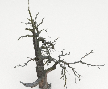 Modern Tree-ID:658377893