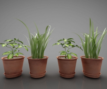 Modern Potted Green Plant-ID:903311016