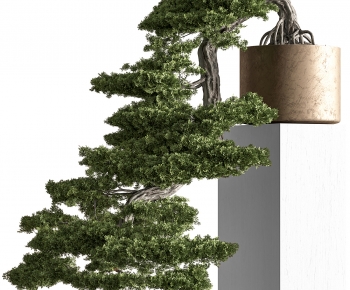 New Chinese Style Desktop Plant-ID:462662948