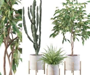 Modern Ground Green Plant Potted Plants-ID:204564094