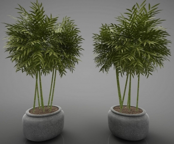 Modern Bamboo-ID:825198899