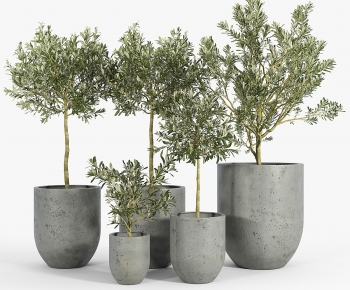 Modern Ground Green Plant Potted Plants-ID:465405945