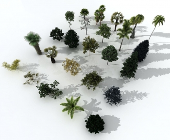 Modern Tree-ID:984729052