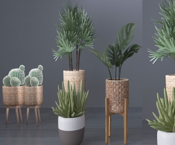 Modern Potted Green Plant-ID:222799848