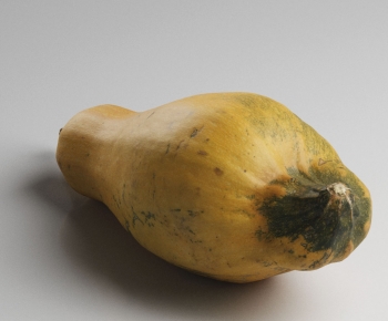 Modern Vegetables-ID:172792918