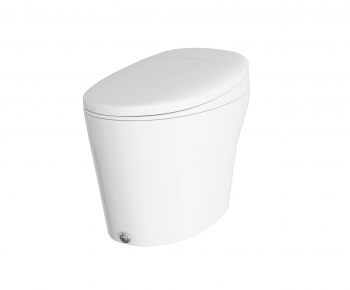 Modern Toilet-ID:539299962