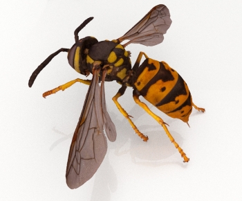 Modern Flying Animals-ID:319503078