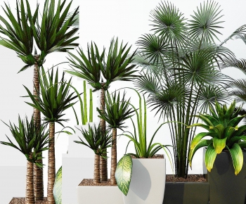 Modern Ground Green Plant Potted Plants-ID:501359947