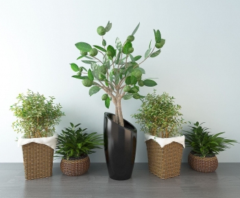 Modern Ground Green Plant Potted Plants-ID:794768104