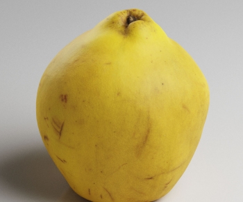 Modern Fruit-ID:356812004