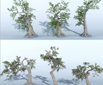 Modern Tree-ID:910352958