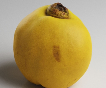 Modern Fruit-ID:349298002