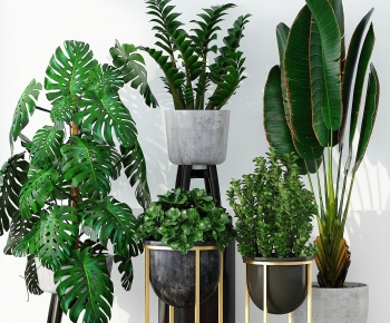 Modern Potted Green Plant-ID:656542065
