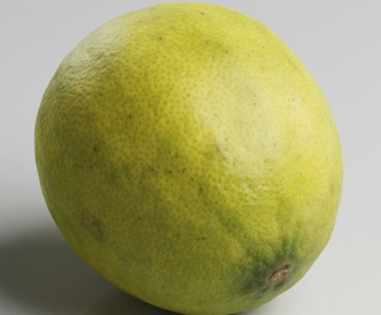 Modern Fruit-ID:328619523