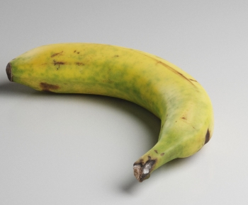 Modern Fruit-ID:421349054