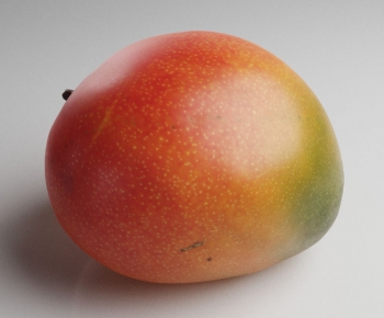 Modern Fruit-ID:981956961