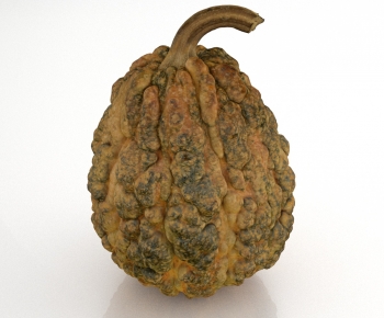 Modern Fruit-ID:523570068