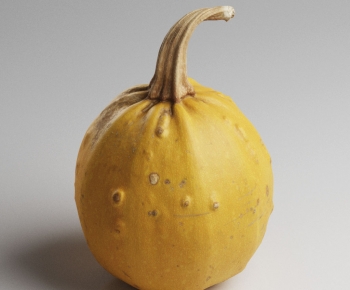 Modern Vegetables-ID:947964914