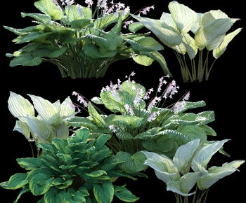 Modern Flowers And Grass-ID:331080916