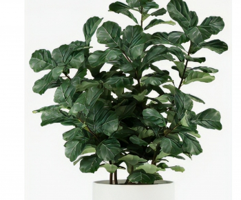 Modern Desktop Plant-ID:360567096