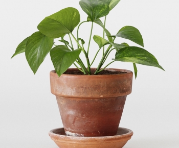 Modern Potted Green Plant-ID:455830158