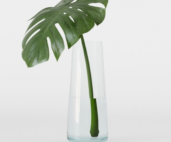 Modern Aquatic Green Plant-ID:580697061