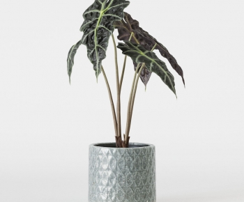 Modern Ground Green Plant Potted Plants-ID:115139015