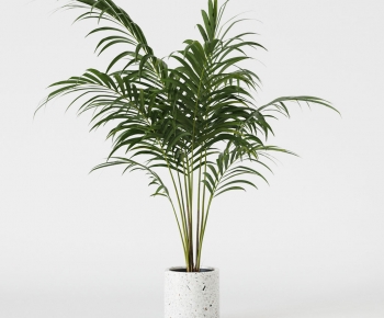 Modern Ground Green Plant Potted Plants-ID:380008941