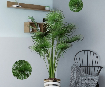 Modern Ground Green Plant Potted Plants-ID:995486028