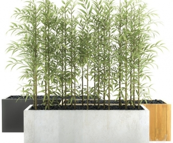 Modern Ground Green Plant Potted Plants-ID:439728989