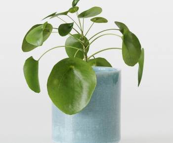 Modern Potted Green Plant-ID:179210901