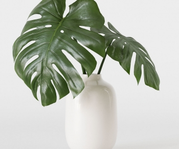 Modern Aquatic Green Plant-ID:217067002