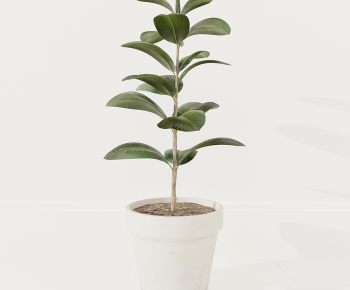 Modern Ground Green Plant Potted Plants-ID:738507993