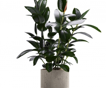 Modern Desktop Plant-ID:292524103