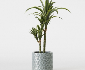 Modern Ground Green Plant Potted Plants-ID:940665014