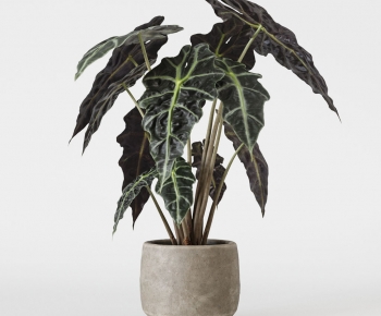 Modern Ground Green Plant Potted Plants-ID:241739992